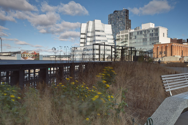 Fall on the Highline