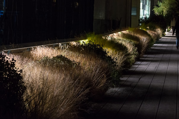 The Highline at Night 4