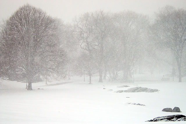 Central Park Snow Fall