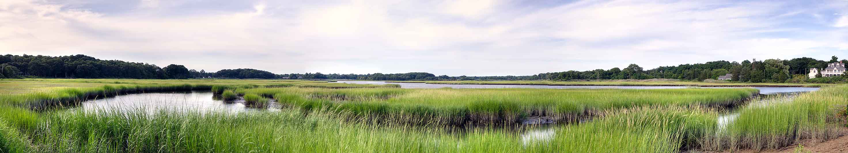 New Suffolk Marsh