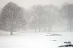 Central Park Snowfall